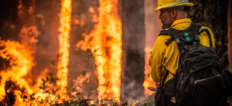 INCENDIOS FORESTALES EFECTOS MEDIOAMBIENTALES (AGAR012PO)